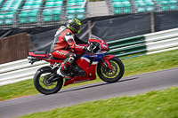 Middle Group Red Bikes